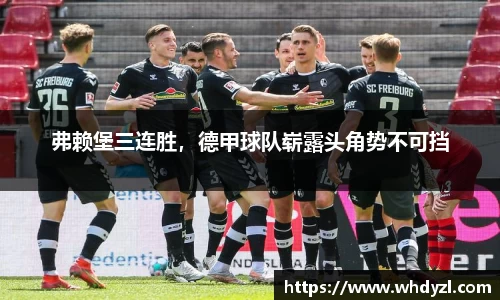 hth华体会官网