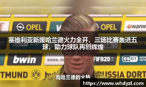 hth华体会体育