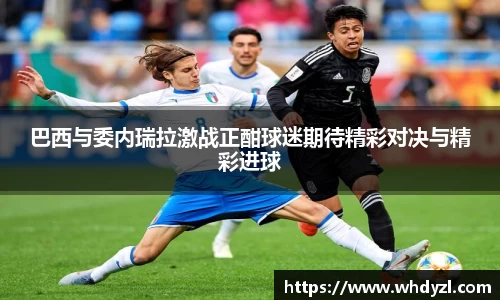 hth华体会体育