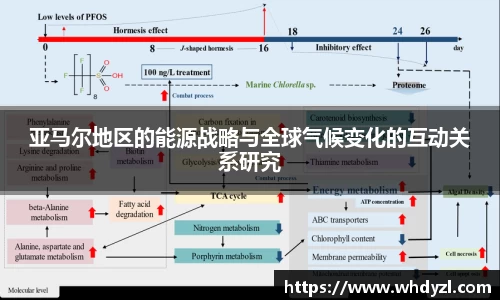 亚马尔地区的能源战略与全球气候变化的互动关系研究